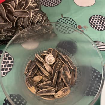 A101 Aldığım Çekirdek Paketinden Canlı Böcek Çıktı