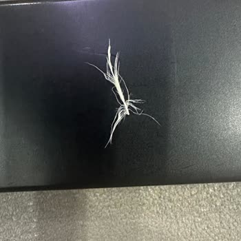 Aldığım Nugget İçinden Tüy Çıkmasıyla Yaşadığım Hayal Kırıklığı