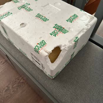 Kargo Hasarlı Geldi, Fasulyeler Bekleneni Karşılamadı