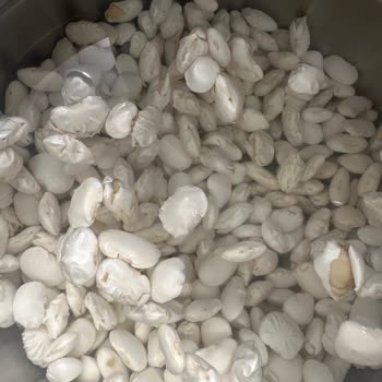 Kargo Hasarlı Geldi, Fasulyeler Bekleneni Karşılamadı