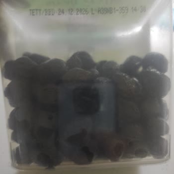 Tukaş Siyah Zeytin Kalitesiz Ve Bozuk Çıktı