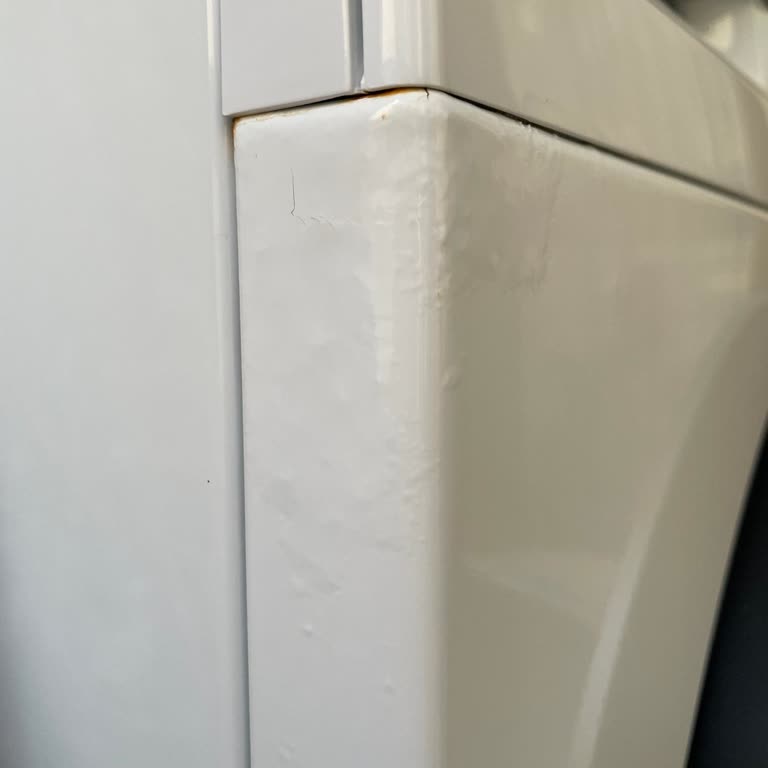 Bosch Çamaşır Makinesinde Kısa Sürede Boya Kabarması Sorunu Yaşadık
