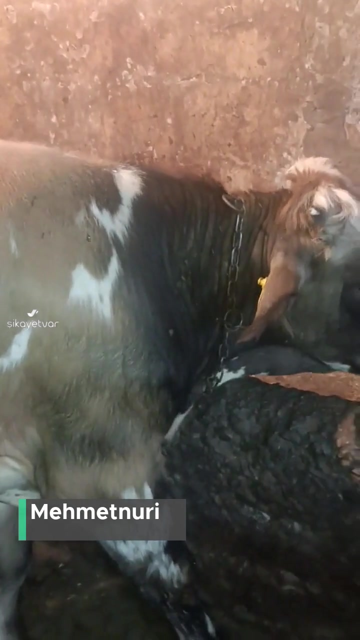 Tarım Ve Orman Bakanlığı Haksızlığı! videonun kapak resmi