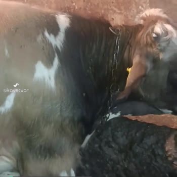 Tarım Ve Orman Bakanlığı Haksızlığı!