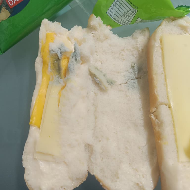 Migros'tan Aldığım Küflü Sandviç Çocuğumu Tehlikeye Attı