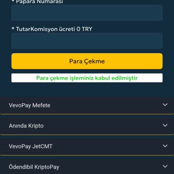 Kazancım Silindi Ana Param Bırakıldı Tekrar Çevrim İstendi