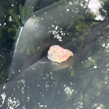 Kiralanan Araçta Hijyen Ve Temizlik Sorunları Yaşadım