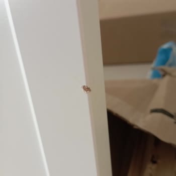 Hasarlı Ürün Teslimatı Ve İlgisiz Müşteri Hizmetleri