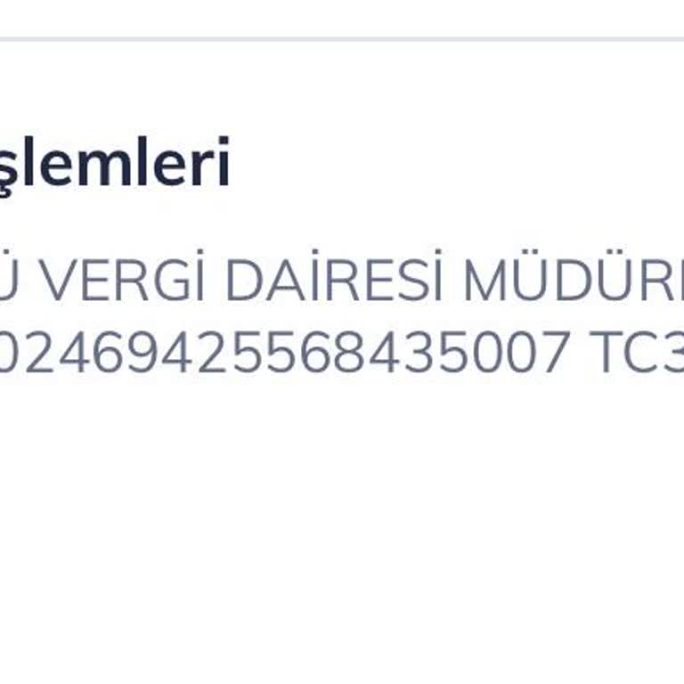 Vergi Borcu Ödemesine Rağmen Hesaptan Para Çekildi, İade Olacak Mı?