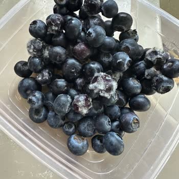 Migros Hemen Siparişimde Küflü Yabanmersini Teslim Edildi