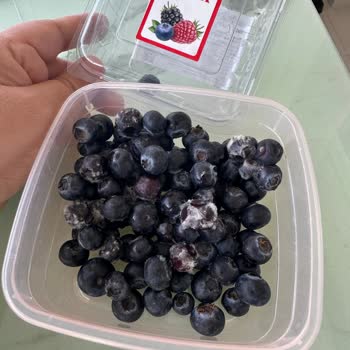 Migros Hemen Siparişimde Küflü Yabanmersini Teslim Edildi