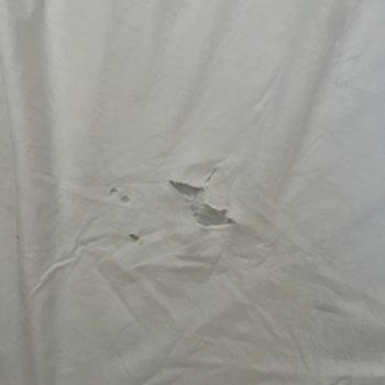 Bosch Çamaşır Makinesi Beklentilerimi Karşılamadı, Kalıcı Çözüm Talep Ediyorum