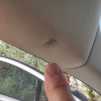 ALC Servis Araba Döşemesi Tamiri Sonrası Daha Kötü Hale Geldi, Mağduriyetim Giderilmedi