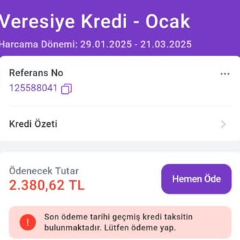 Hadi Uygulamasının Hatası Yüzünden Gecikme Borcu Yansıtıldı!