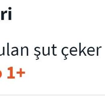 Misli Uygulamasında Usulsüz İşlem Ve Mağduriyet Sürecinde Yaşanan Kaygı