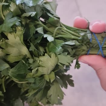 Bozuk Ve Hasarlı Ürünlere Çözüm Sunulmadı, Müşteri Mağdur Edildi