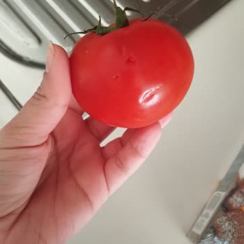 Bozuk Ve Hasarlı Ürünlere Çözüm Sunulmadı, Müşteri Mağdur Edildi