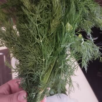 Bozuk Ve Hasarlı Ürünlere Çözüm Sunulmadı, Müşteri Mağdur Edildi