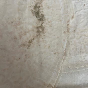 Başak Gıda Ekmecik Yufka Almıştım Bozuk Çıktı