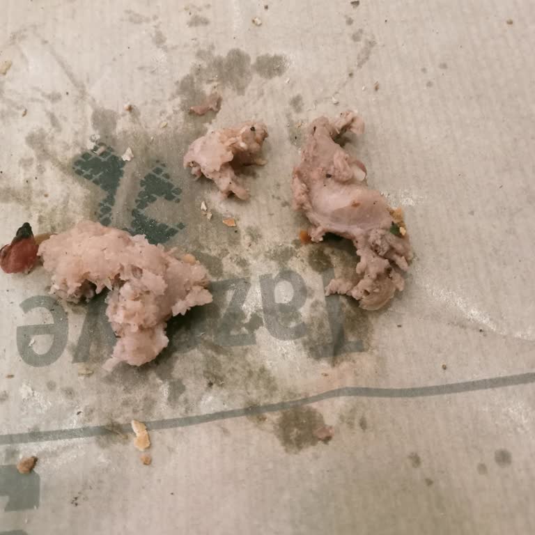 Sbarro'da Kuşbaşılı Pide İçinde Kıkırdak Sorunu Yaşadım