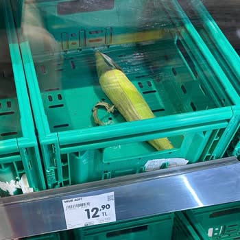 Yanlış Fiyat Ve Saygısız Personel Şoku!