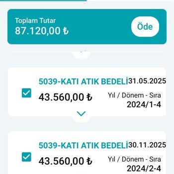 Nilüfer Belediyesi Katı Atık Bedeli Düzenlemesinde Adaletsizlik Ve Şeffaflık Sorunu