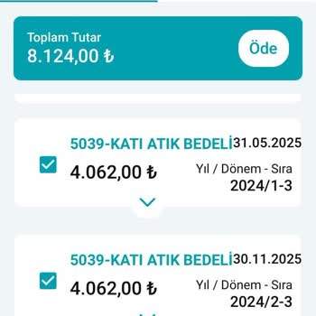 Nilüfer Belediyesi Katı Atık Bedeli Düzenlemesinde Adaletsizlik Ve Şeffaflık Sorunu