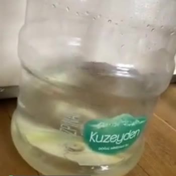 Kuzeyden Su Markası Zehir Satıyor