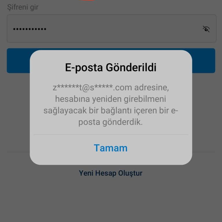 Instagram Hesabımda Giriş Sorunu Ve Yanlış E-Posta Problemi
