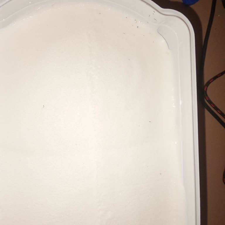 Algida Dövme Dondurmada Siyah Maddeler Güvenimi Sarsıyor