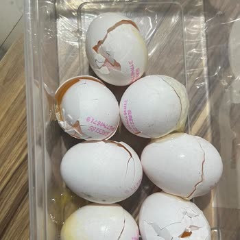 Kırık Yumurtalara Çözüm Bulamayan Müşteri Hizmetleri