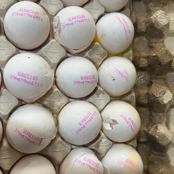 Kırık Yumurtalara Çözüm Bulamayan Müşteri Hizmetleri