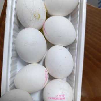 Son Kullanım Tarihi Yakın Ve Bozuk Yumurtalar Gönderildi