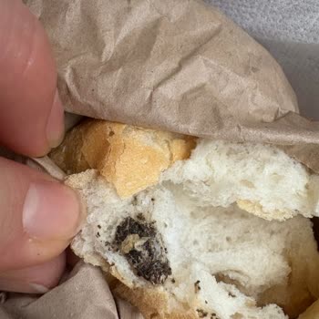 Getir Ekmek Şikayeti