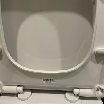 Vitra Klozet Kapağı Menteşe Sorunu: Dayanıklılık Beklentisini Karşılamıyor