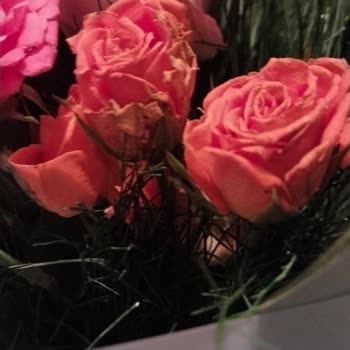 Sipariş Edilen Çiçek İle Gelen Ürün Arasındaki Büyük Fark Ve Mağduriyet