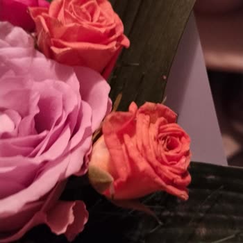 Sipariş Edilen Çiçek İle Gelen Ürün Arasındaki Büyük Fark Ve Mağduriyet