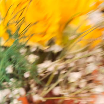 Sipariş Edilen Çiçek İle Gelen Ürün Arasındaki Büyük Fark Ve Mağduriyet