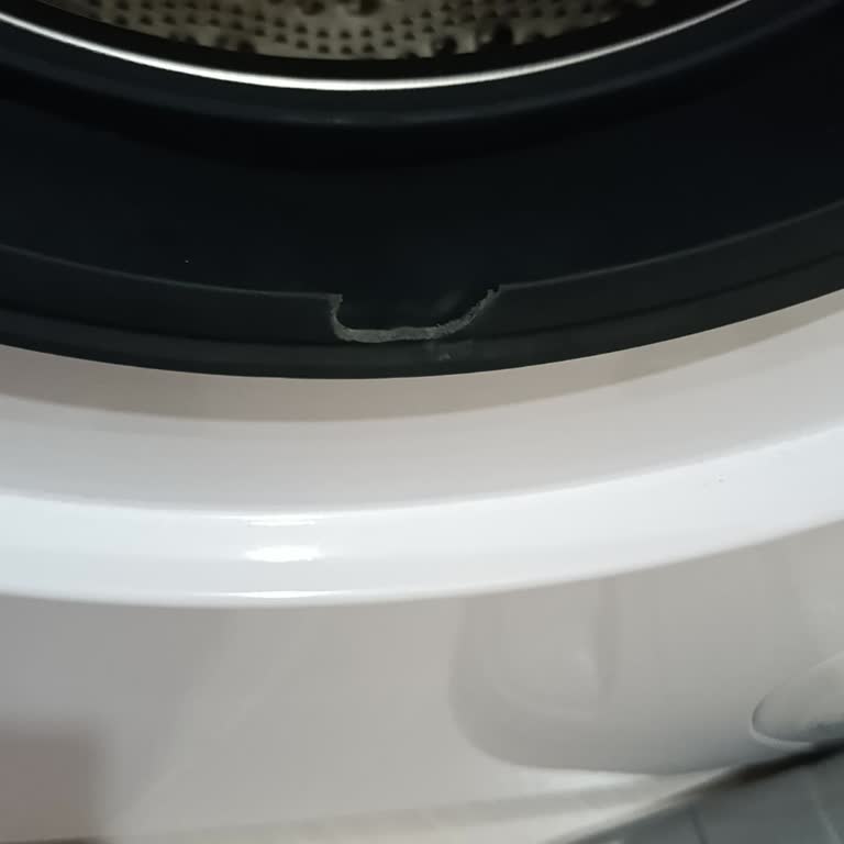 Siemens Çamaşır Makinesi Kapağı Kısa Sürede Yırtıldı Garanti Karşılamıyor