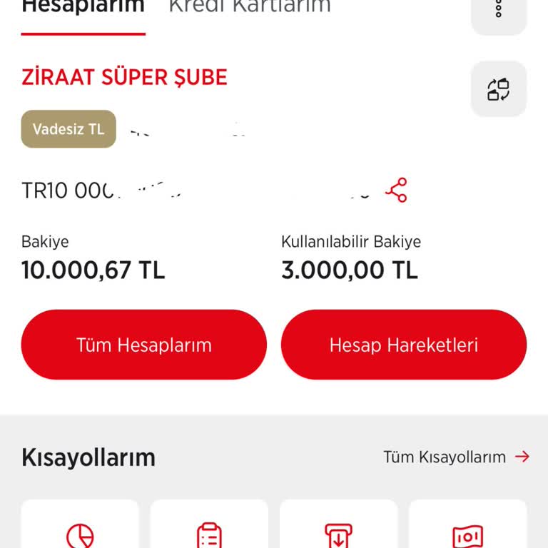 Bilgilendirme Yapılmadan Hesaba Bloke Kondu, Acil Bakiyeme Ulaşamıyorum