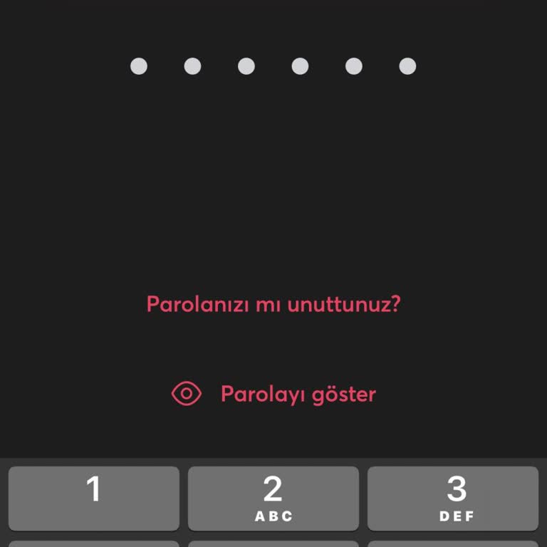 İninal Kart Sim Blokesi Ve Hesap Erişimi Sorunu