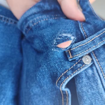 Mango Kotunda Renk Solması Ve Parçalanma Hayal Kırıklığı