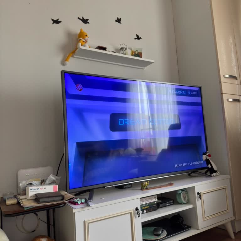 Aldığım TV'de Tekrarlayan Mavi Ekran Sorunu Ve Hayal Kırıklığı