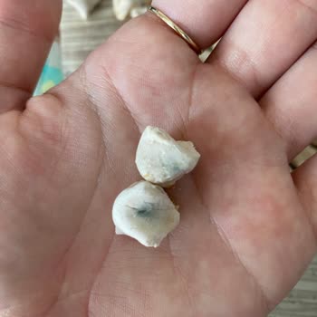 A101'den Aldığım Mantı Tekrar Tekrar Küflü Çıkıyor Müşteri Mağdur Ediliyor