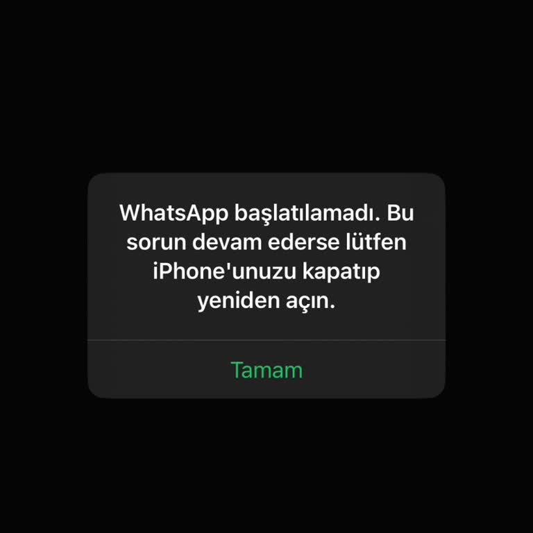 İphone 16 Pro'da WhatsApp Başlatılamama Ve Veri Kaybı Sorunu