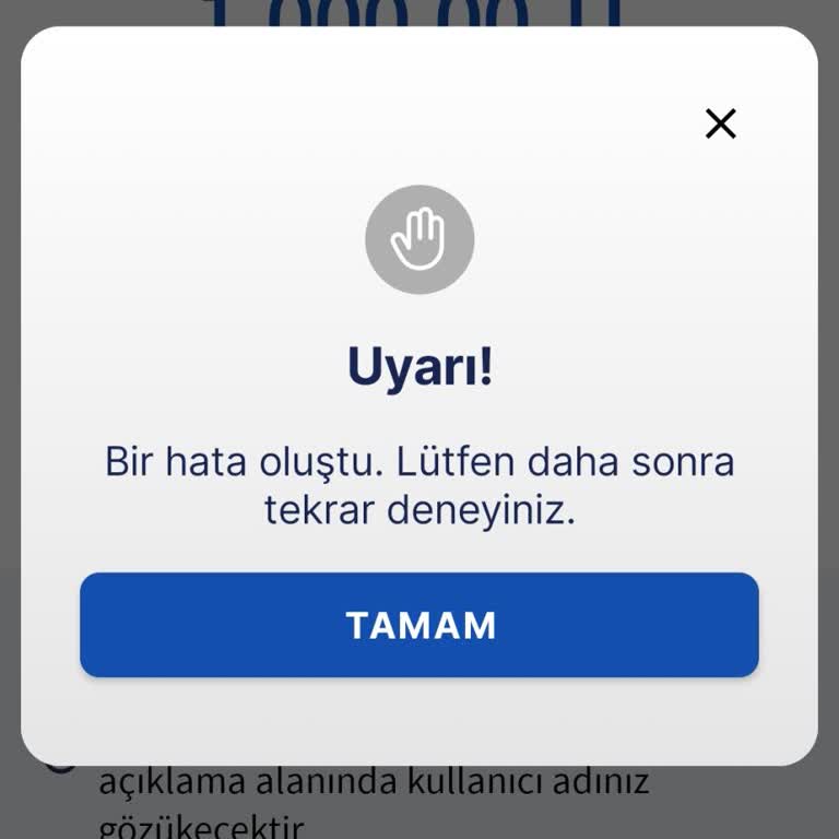 Opet Pay'e Gönderdiğim Parayı Ne Kullanabiliyorum Ne De Geri Alabiliyorum