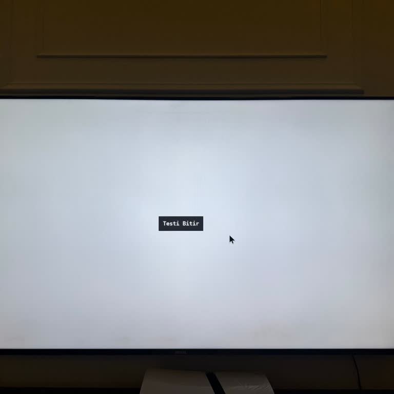 Vestel TV'de Panelde Toz Sorunu Ve Değişim Talebi