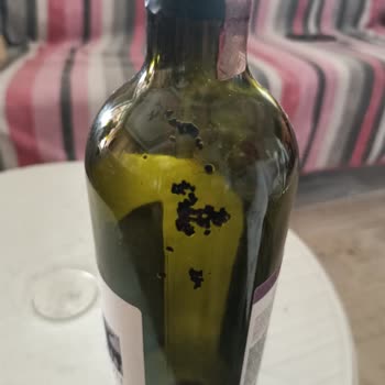 Satın Aldığım Şarapta Yabancı Parçacıklar Çıktı