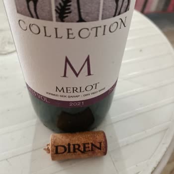 Satın Aldığım Şarapta Yabancı Parçacıklar Çıktı