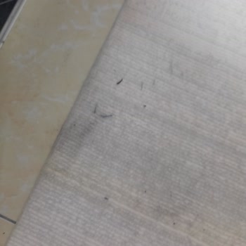 Philips 7000 Robot Süpürgede Şarj Ve Temizlik Sorunları